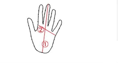 Premium Kickboxing Gloves – High Quality MMA Gloves for Muay Thai & Boxing Training – PU Leather Half Mitts for Fighters – Durable, Lightweight Black Boxing Equipment - StrengthXPhysiotherapy